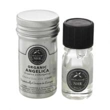 Karen angelica root essential oil