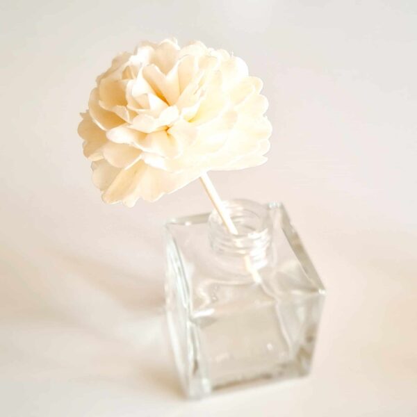 Nellike Duftpind Reed Diffuser